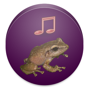 Coqui Ringtone