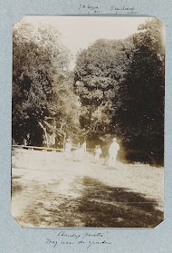 Plantage "Kwatta". Weg naar de gronden