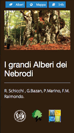 Grandi alberi dei Nebrodi