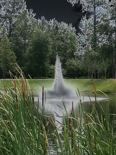 Barkley Pond West Fountain