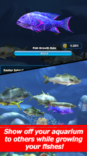 Ace Fishing: Wild Catch - screenshot thumbnail