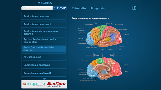 【免費醫療App】Atlas Neuropatia e Inflamação-APP點子