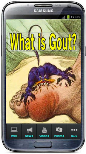 WHAT IS GOUT