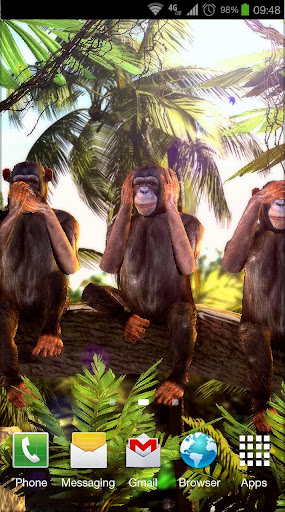 Three Wise Monkeys 3D