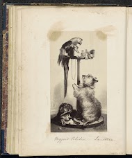 Fotoreproductie van een prent naar een schilderij van Edwin Henry Landseer