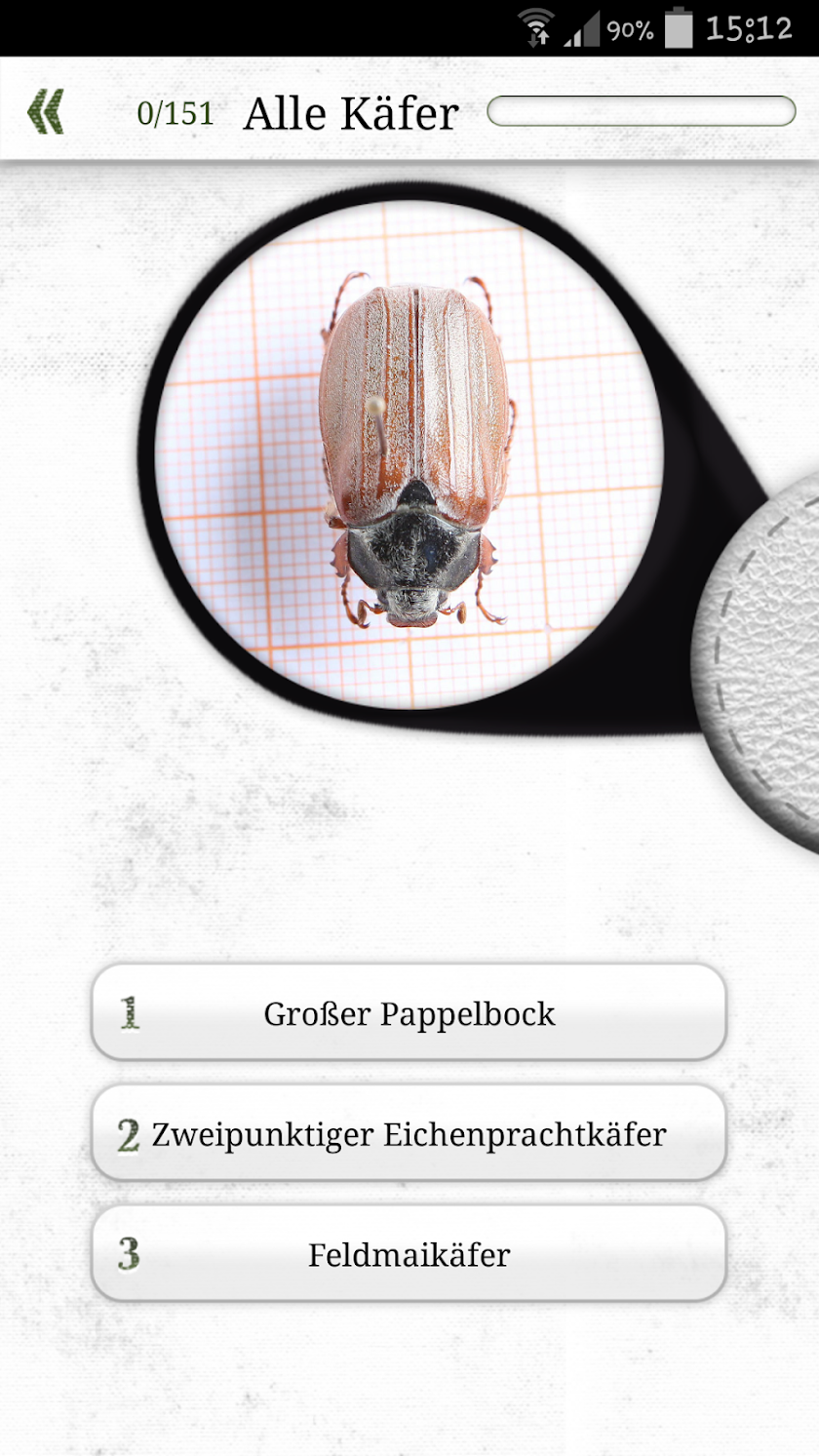 Käferkunde Screen 3