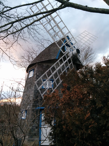 White Paned Windmill