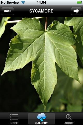 TreesUK Screen 3