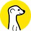 Meerkat