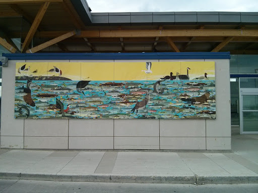 Fishes And Wildlife Mural