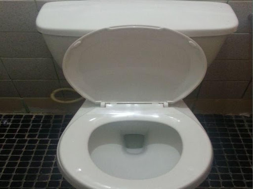 Real Toilet