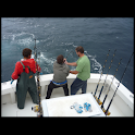 Tuna fishing illustrated logo