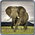 Wild Life Live Wallpapers icon