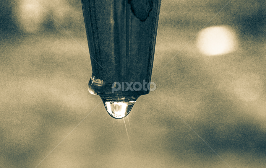 One drop by Md Shahriar Kabir - Abstract Water Drops & Splashes