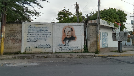 Mural Andrés Bello U.E Santiago Machado