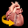 Heart 3D Anatomy Download on Windows