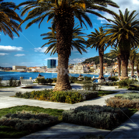 Main promenade in Split town by Bepina Spužvasta - City,  Street & Park Street Scenes