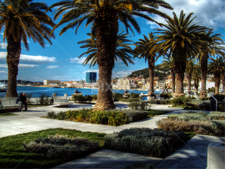 Main promenade in Split town by Bepina Spužvasta - City,  Street & Park Street Scenes