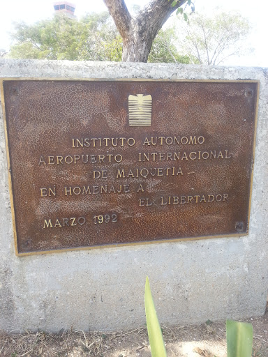Instituto Autonomo Aeropuerto De Maiquetia