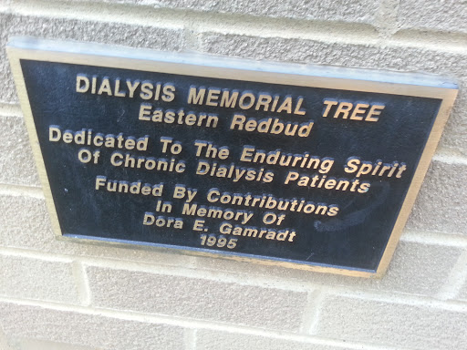 Dialysis Memorial Tree Plaque