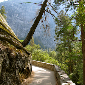 Nevada Falls Trail by Kathleen Koehlmoos - Novices Only Landscapes