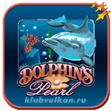 DOLPHINS PERL icon