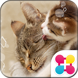 猫の親子の壁紙きせかえ Smack 1 1 Apk Free Personalization Application Apk4now