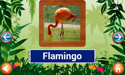 Animals and Birds by Intellisense poster 3