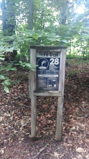 Fit Trail 28 Wickham Park
