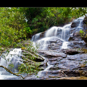 Killiyur Waterfalls by Vincent Albert - Landscapes Waterscapes