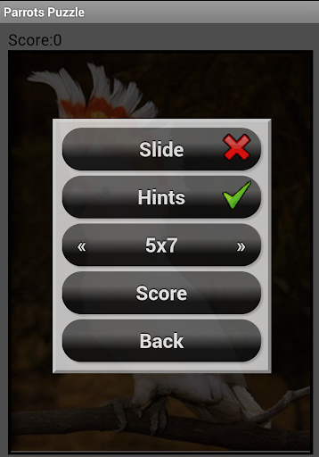 免費下載解謎APP|Parrots Puzzle app開箱文|APP開箱王