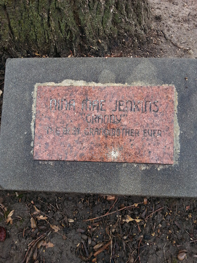 Anna Mae Jenkins Memorial Tree