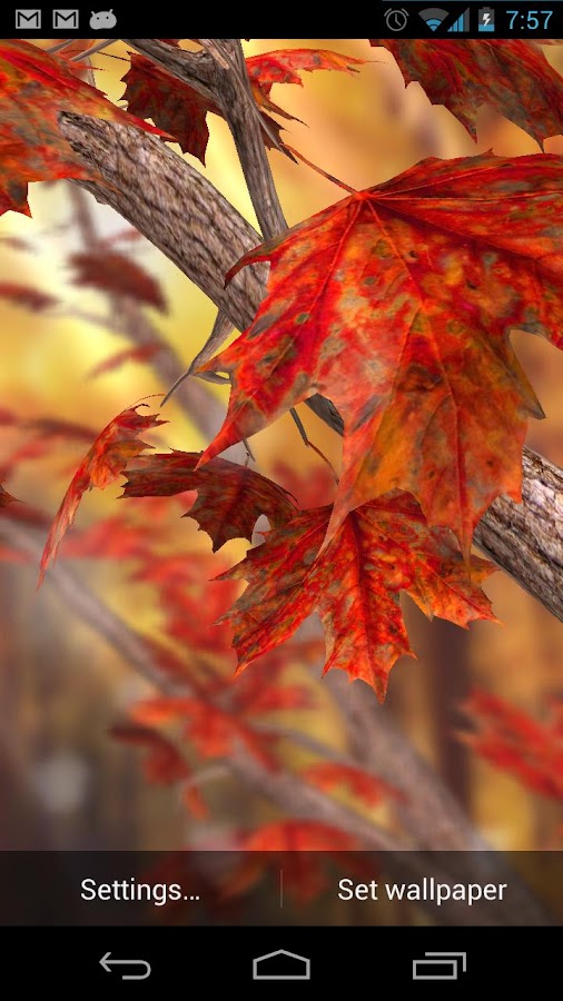 Autumn Tree Live Wallpaper - screenshot