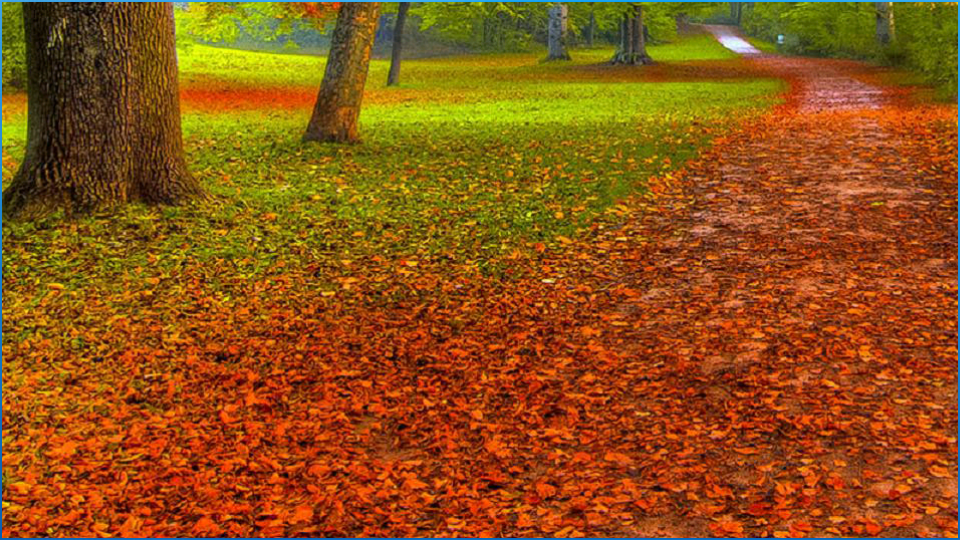 theme photography android for Best Themes Android Apps photography on  Google Play