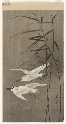 Egrets in flight