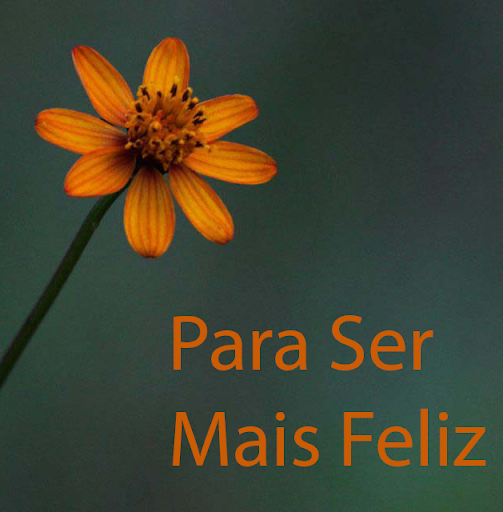 Para Ser Feliz