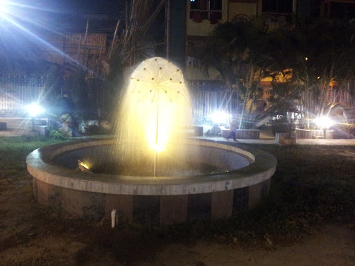 Fountain At Vidyasagar Park