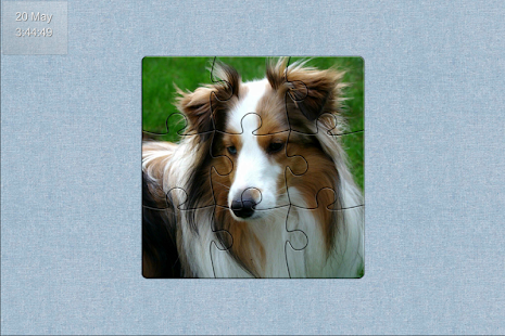 How to mod Dogs: Mini Puzzle Game Room 1.0 apk for bluestacks