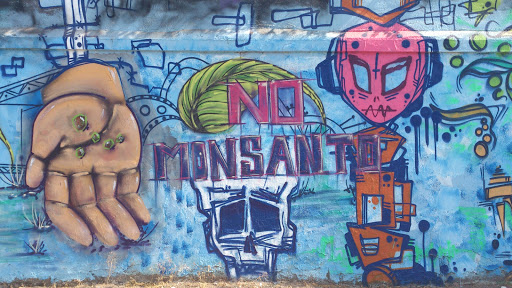 Mural No Monsanto 