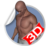 Flat Belly 3D Workout Sets Apk