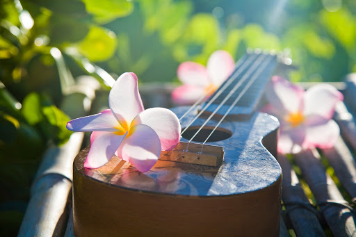 ukulele-plumeria - A plumeria lei laid over a ukulele, the Hawaiian string instrument brought to Hawaii from Portugal in the 19th century.