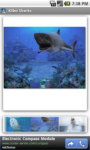 How to download Killer Sharks lastet apk for bluestacks