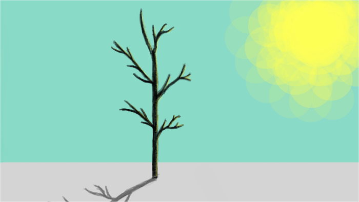 Tree.