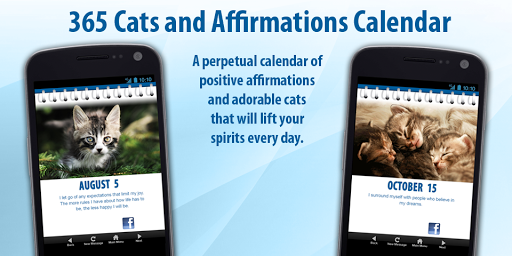 365 Cats and Affirmations