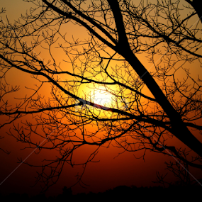 Dwindled Radiance by Pulastyya Phukan - Landscapes Sunsets & Sunrises