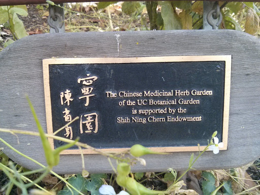 Chinese Medicinal Herb Garden