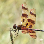 Halloween Pennant