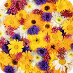 Cover Image of Download Flower Sea 3D Live Wallpaper 1.0 APK
