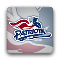 Somerset Patriots logo