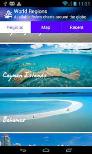 Lastest Scuba FIC APK for PC